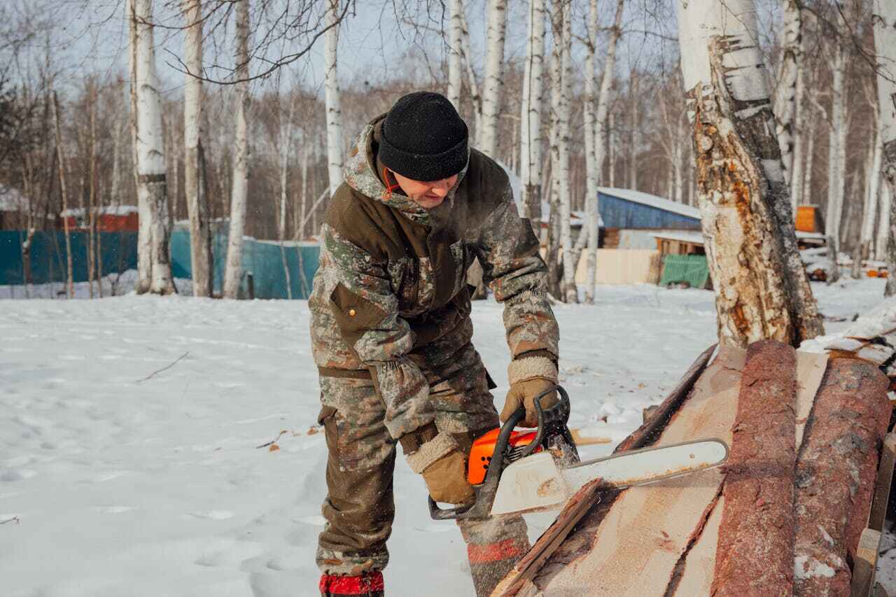 Residential Tree Removal in Salem, NJ